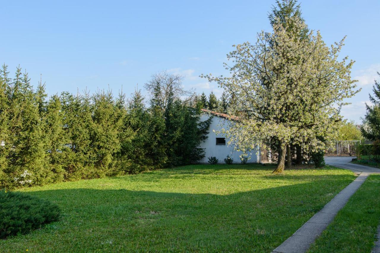 Mi12 Apartment Eger Exterior photo